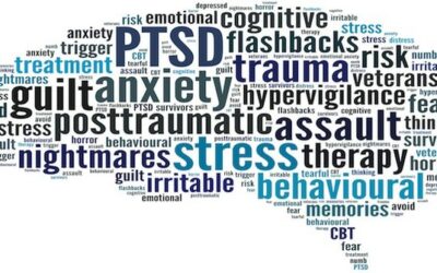 PTSD and the Brain